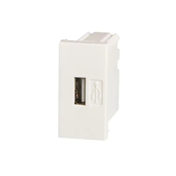 Module Prise Chargeur USB pour Legrand standard